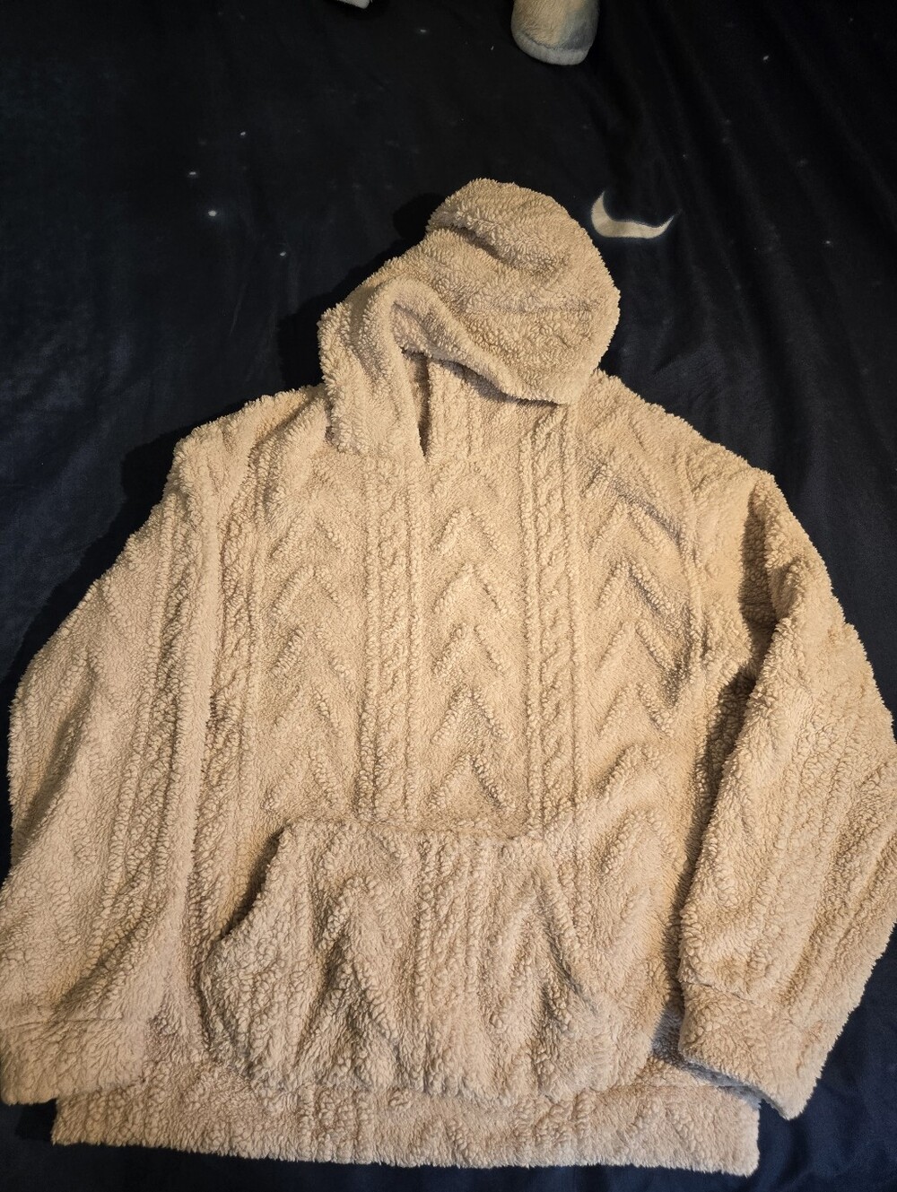 Cozy Sherpa Hoodie Sweater in Beige